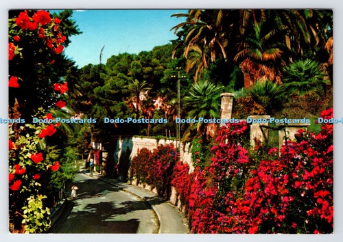D338428 bordighera riviera - d338428,