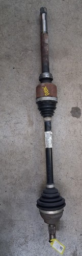 Semialbero ant compl dx - semialbero, compl.