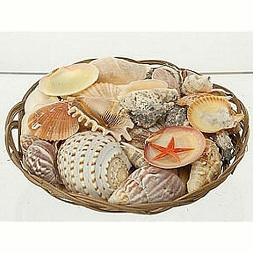 Cesto 900 conchiglie - cesto,