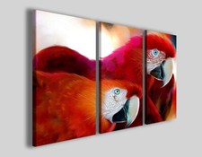 Quadro pappagalli Couple