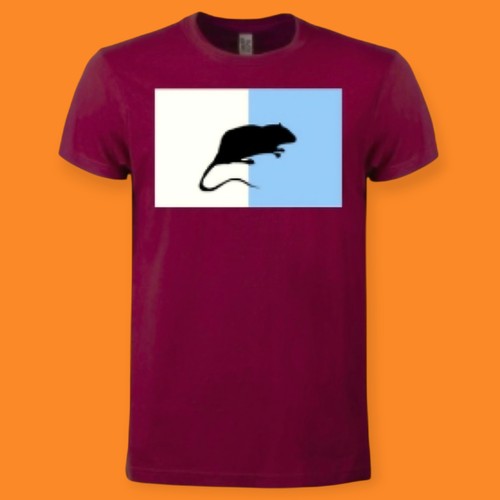 Shirt roma fans - t-shirt, derby
