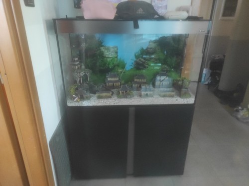 Acquario completo usato - completo,
