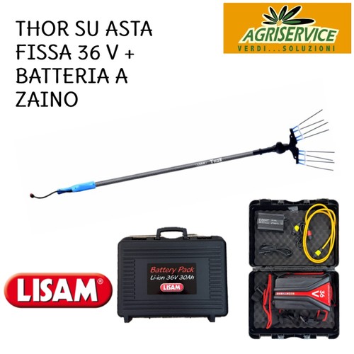 Pettine elettrico thor - elettrico,