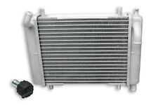 MALOSSI RADIATORE NUDO MHR PIAGGIO ZIP SP TUTTI MODELLI