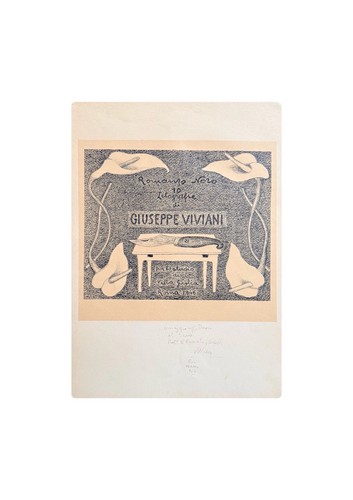 Giuseppe viviani litografia - viviani,