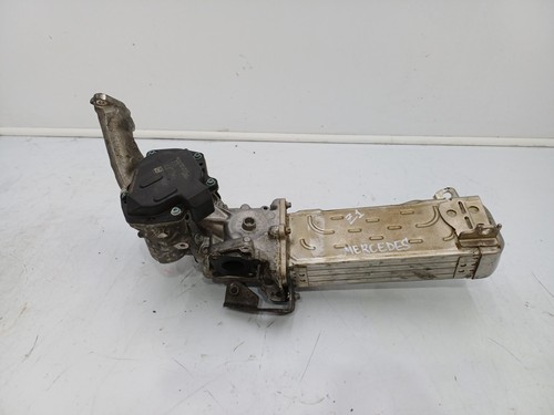 Scambiatore egr radiatore - ✅scambiatore,