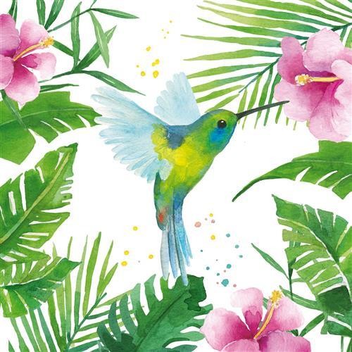 Tovaglioli colibrì animali - 20,