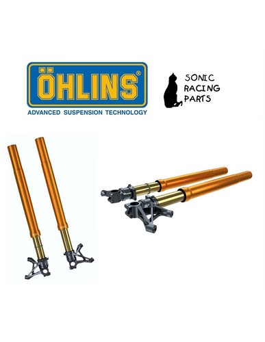 Fgr 400 ohlins - ohlins, oro