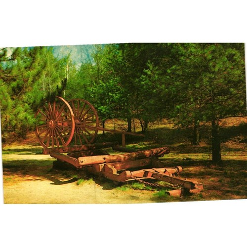 Vintage 1956 hartwick pines - vintage,