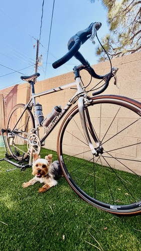 Bianchi vigorelli 55cm - bianchi,