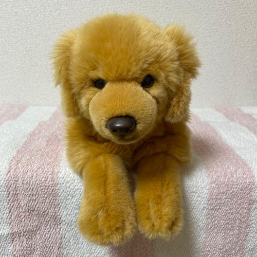 Regalo real dog collection - regalo,