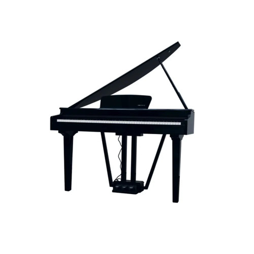 Echord 10b pianoforte coda - gp-10b,