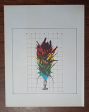 FABRIZIO PLESSI - RAPPORTO