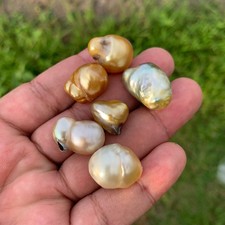 6 pezzi perle dei mari del sud