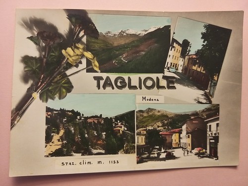 Tagliole pievepelago - tagliole,