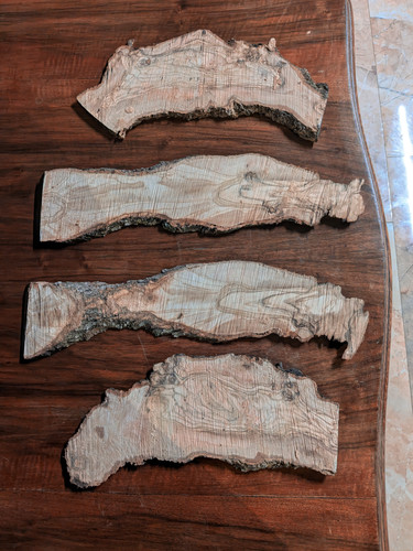 Dischi legno ulivo - dischi, d'ulivo