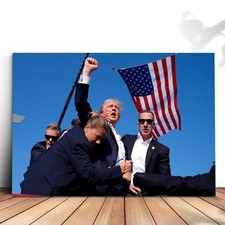 Trump Assassination, arte