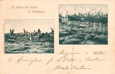 ds153 cartolina la pesca del