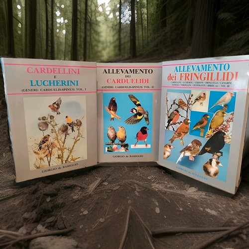 Allevamento dei lucherini - allevamento,