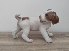 Cucciolo puntatore inglese