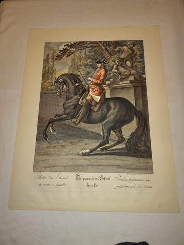 Johann elias ridinger - johann, "parade