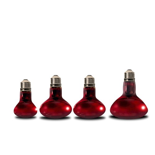 Lampada riscaldante infrarossi - lampada,