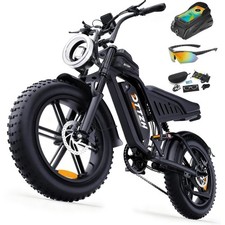 DTTZH F6 20" Fat Tire electric
