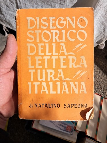 Disegno storico della - disegno,