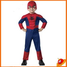 🕷️ Costume Spider-Man per