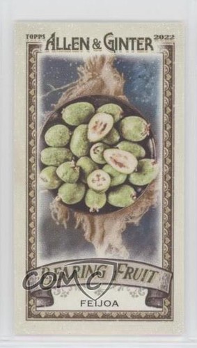 2022 topps allen ginter - topps,