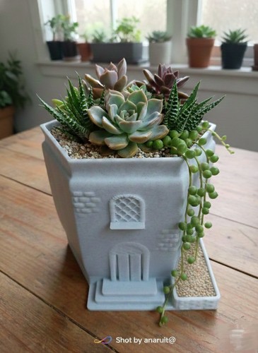 Vaso per piante - , hidrosistema