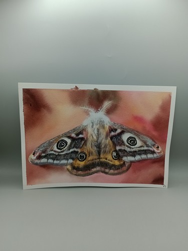 Quadro acquerello originale