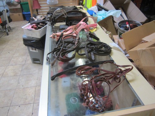 Ariat usato molto altro - molto,