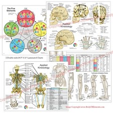 Applied Kinesiology Chart Set