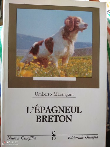 Umberto marangoni epagneul - marangoni,