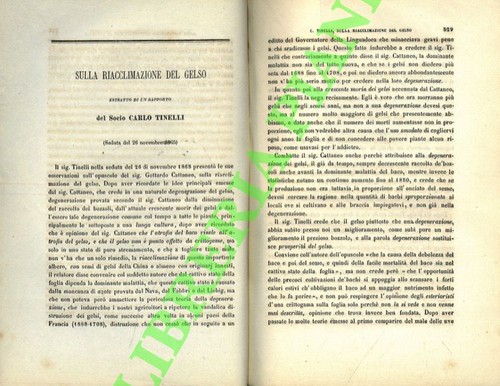 Tinelli carlo sulla - carlo,