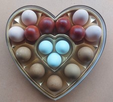 Set 16 Uova Feconde, Fertili Miste: MARANS, OLIVER, ARAUCANA, Moroseta Orpington