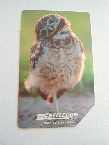Schede telefoniche animali - -,