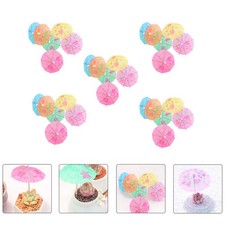  30 pezzi succulenti mini