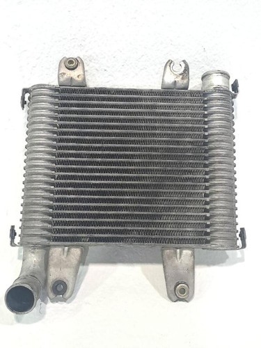 Intercooler kia carnival - carnival, ii
