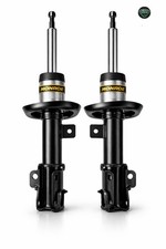401083RM Kit 2 ammortizzatori
