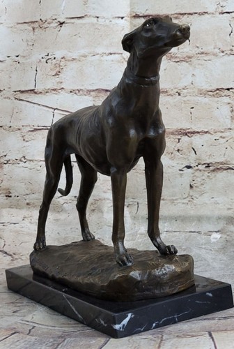 Greyhound ritirato rescued - ritirato,