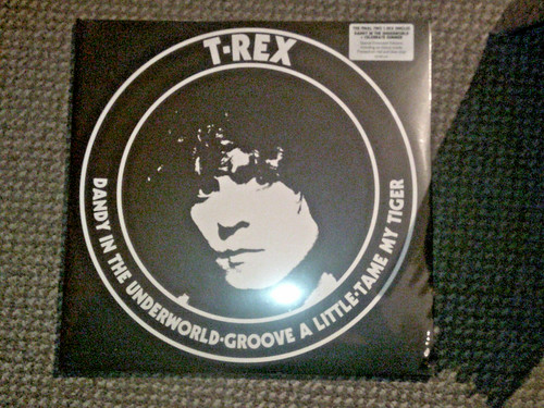 Rex dandy in - t.,