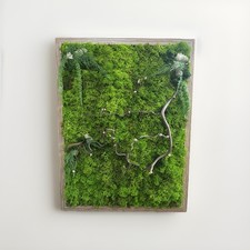 Quadro Vegetale, Fiori