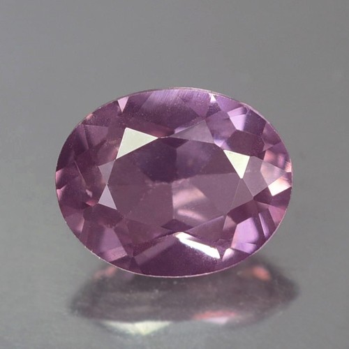 Splendido spinello birmano - splendido,