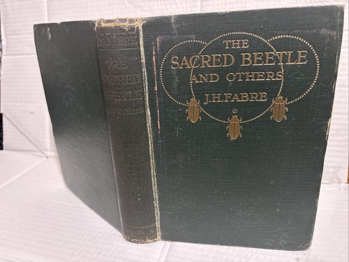 Sacred beetle henri fabre - j, h