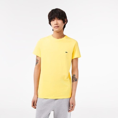Shirt uomo manica corta - uomo,