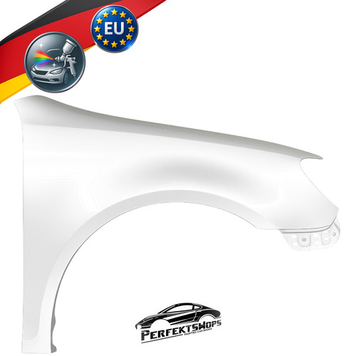 Parafango golf 6 destro - vi,