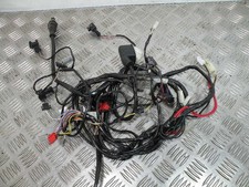 Faisceau électrique VESPA 50