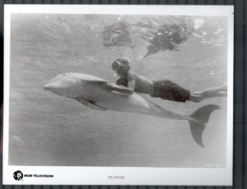 Flipper x10 still luke - 8"x10",